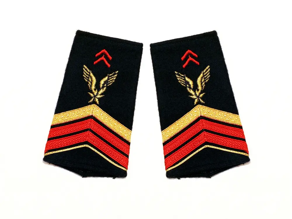 Tableau hiérarchique des grades militaires de l'armée de terre, du soldat au général d'armée